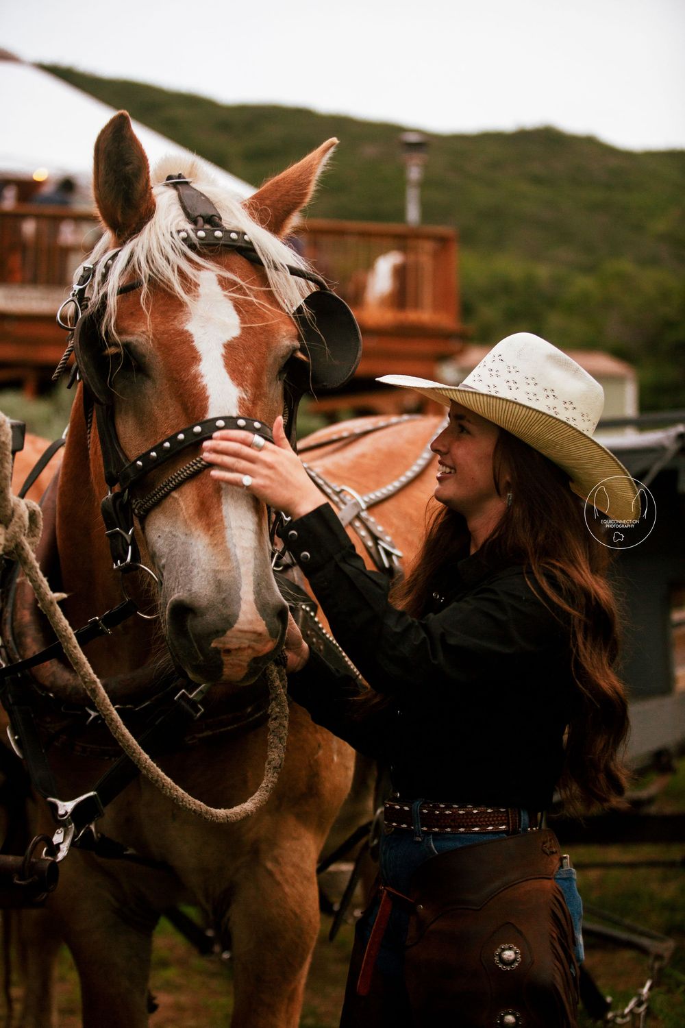 draft horse and cowgirl