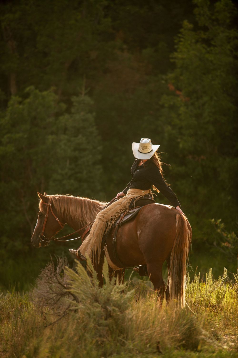 western photographer