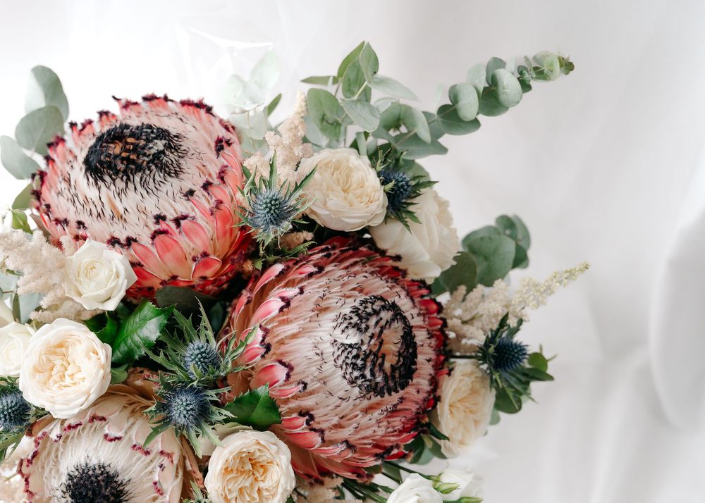 Beautiful wedding bouquet featuring pink protea flowers and white roses with eucalyptus greenery.