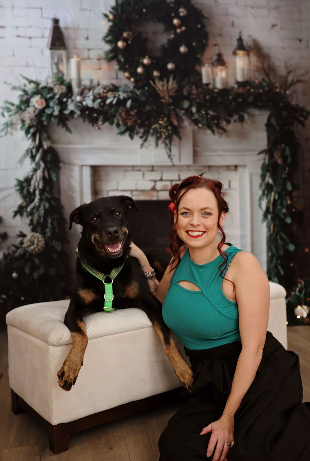 Cheerful portrait with black dog wearing green collar against festive Christmas backdrop.