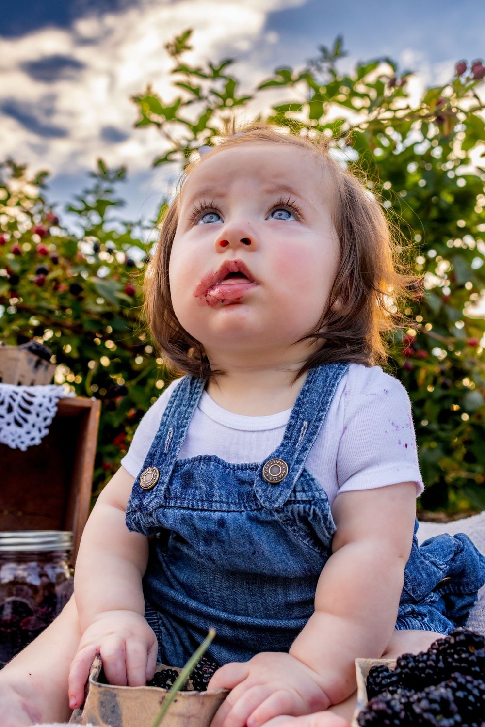 Adorable toddler girl in denim overalls looking up with blackberry-stained lips while holding fresh blackberries.
