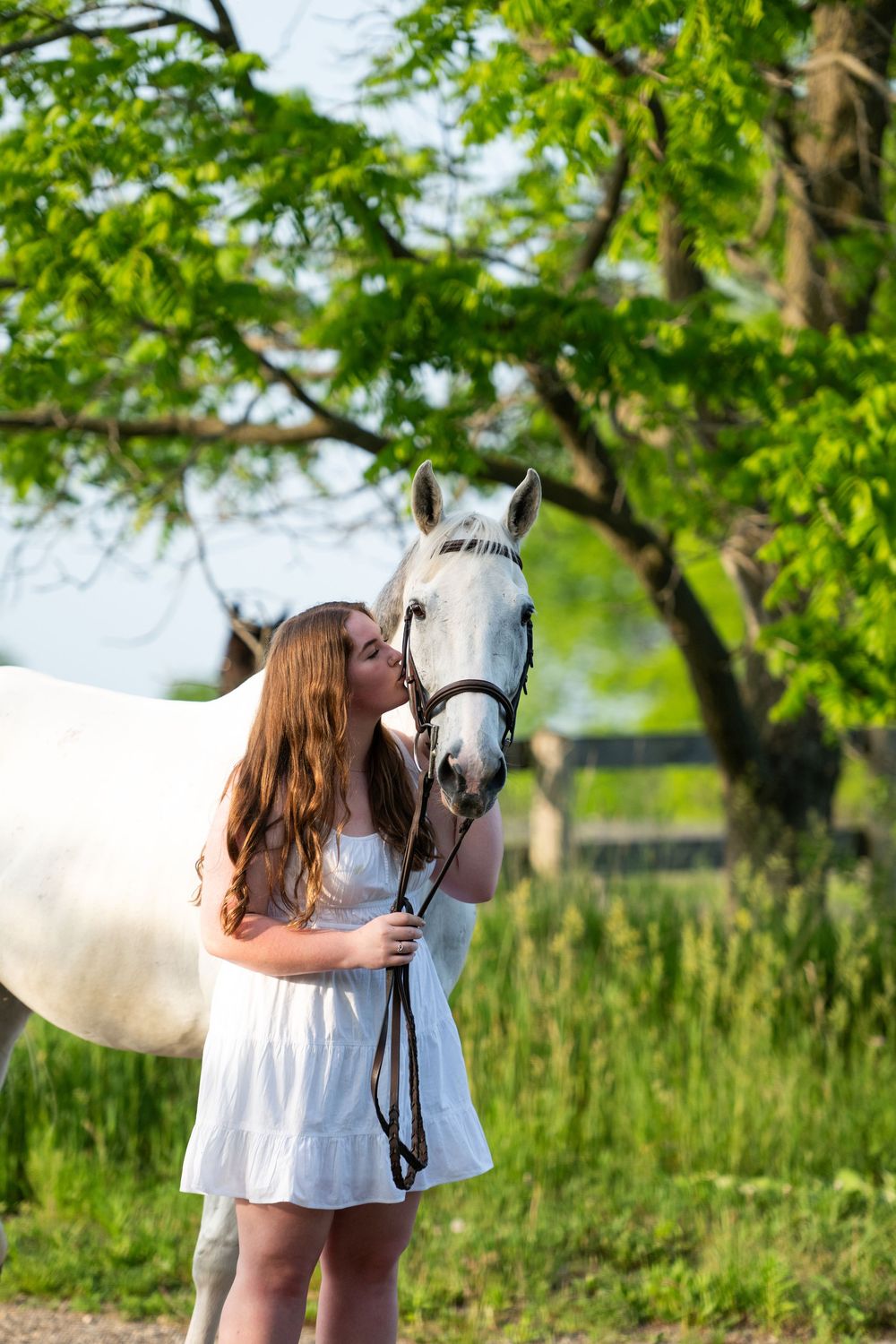 A beautiful white horse and someone in a white dress share tender moments in a lush green summer field.
