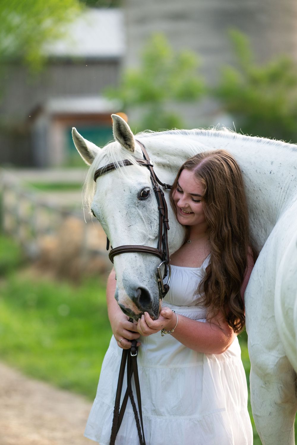 A sequence of photos showing a tender moment between a young girl in a white dress and a beautiful white horse.