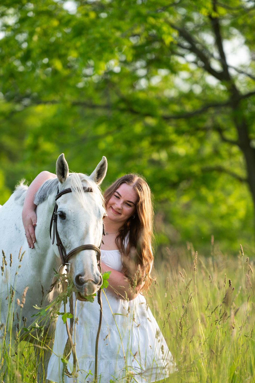 White horse and person sharing a tender moment in a sunlit meadow with tall grass and trees.