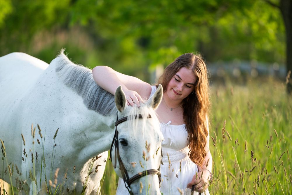 A white horse nuzzles someone in a grassy field during a golden summer afternoon.