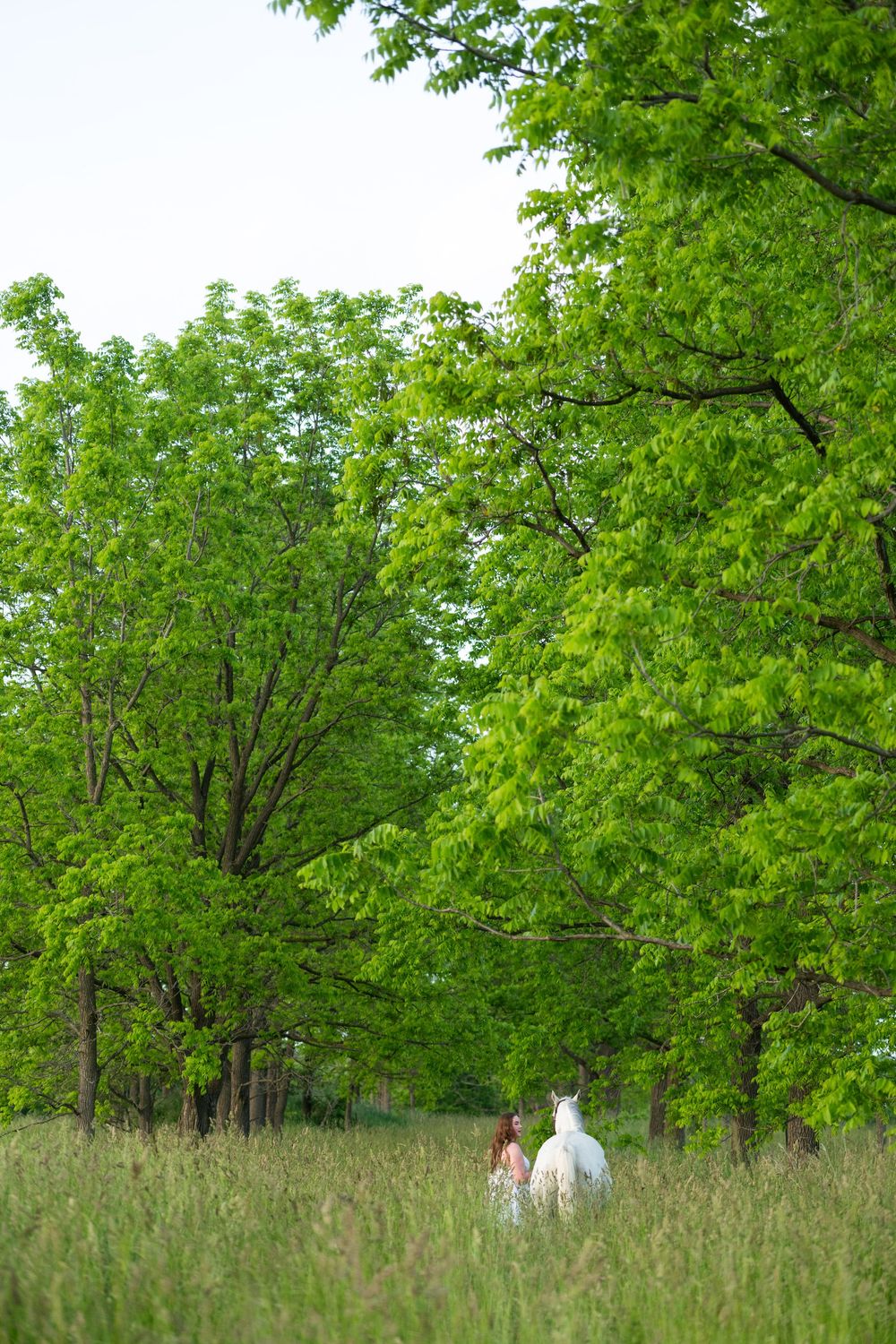 Person and dog walking together on a grassy trail beneath lush green trees in springtime.