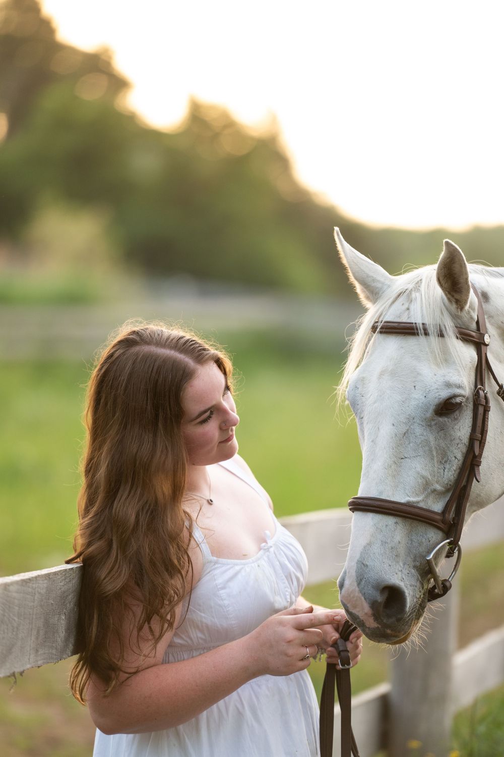 A white horse with bridle stands alongside a white wooden fence as sunlight filters through trees in the background.