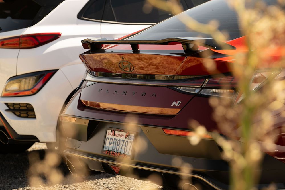 Close-up view of a luxury car rear end showing taillights and spoiler details with blurred foliage in foreground.