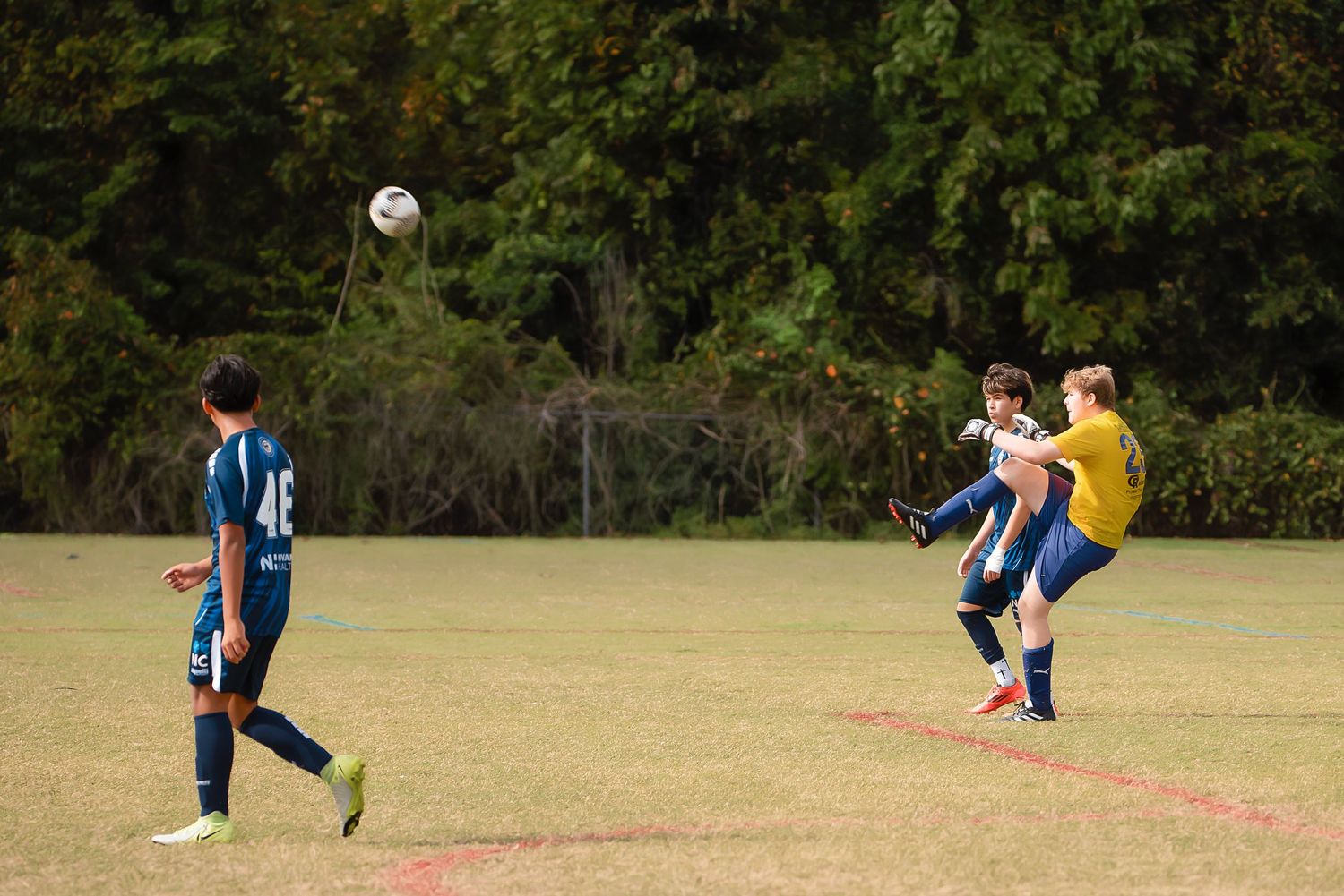 Soccer players in blue and yellow uniforms compete for the ball during an outdoor match on a grass field.
