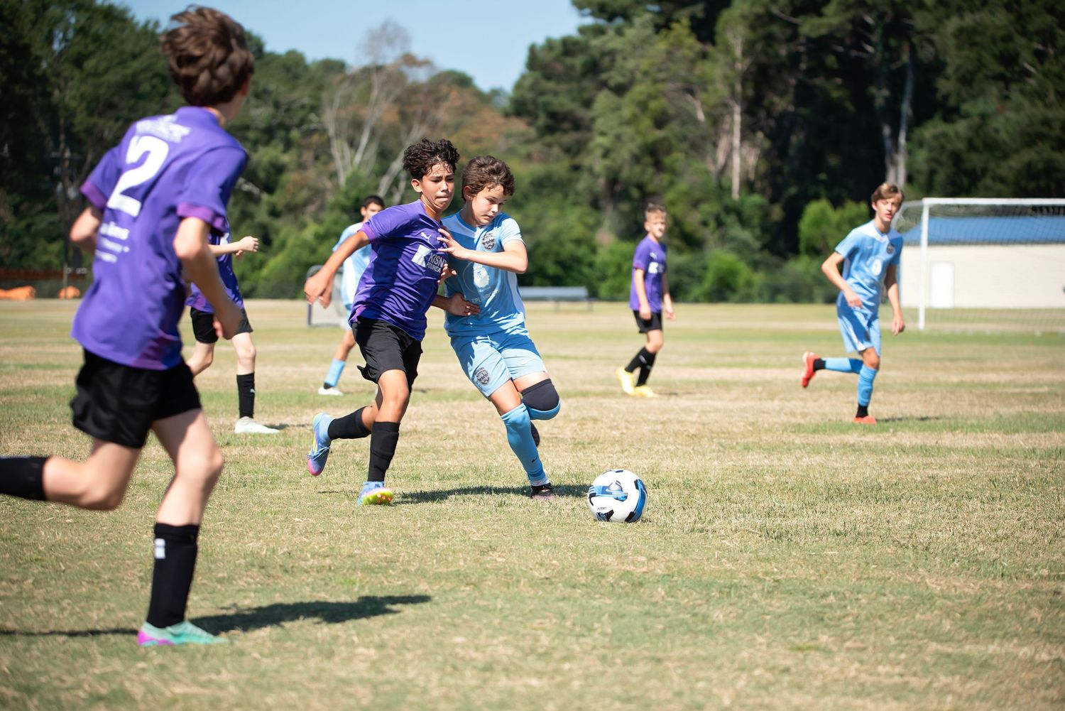 Soccer players in blue and purple uniforms compete during a match on a sunny grass field.