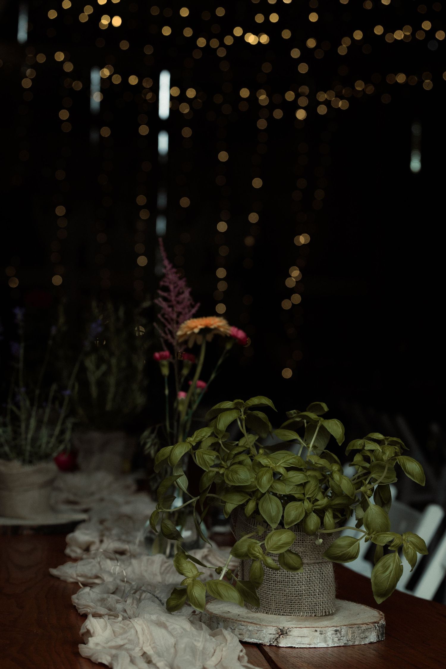 A rustic wedding table setting with string lights overhead and green potted plants on burlap-wrapped centerpieces.