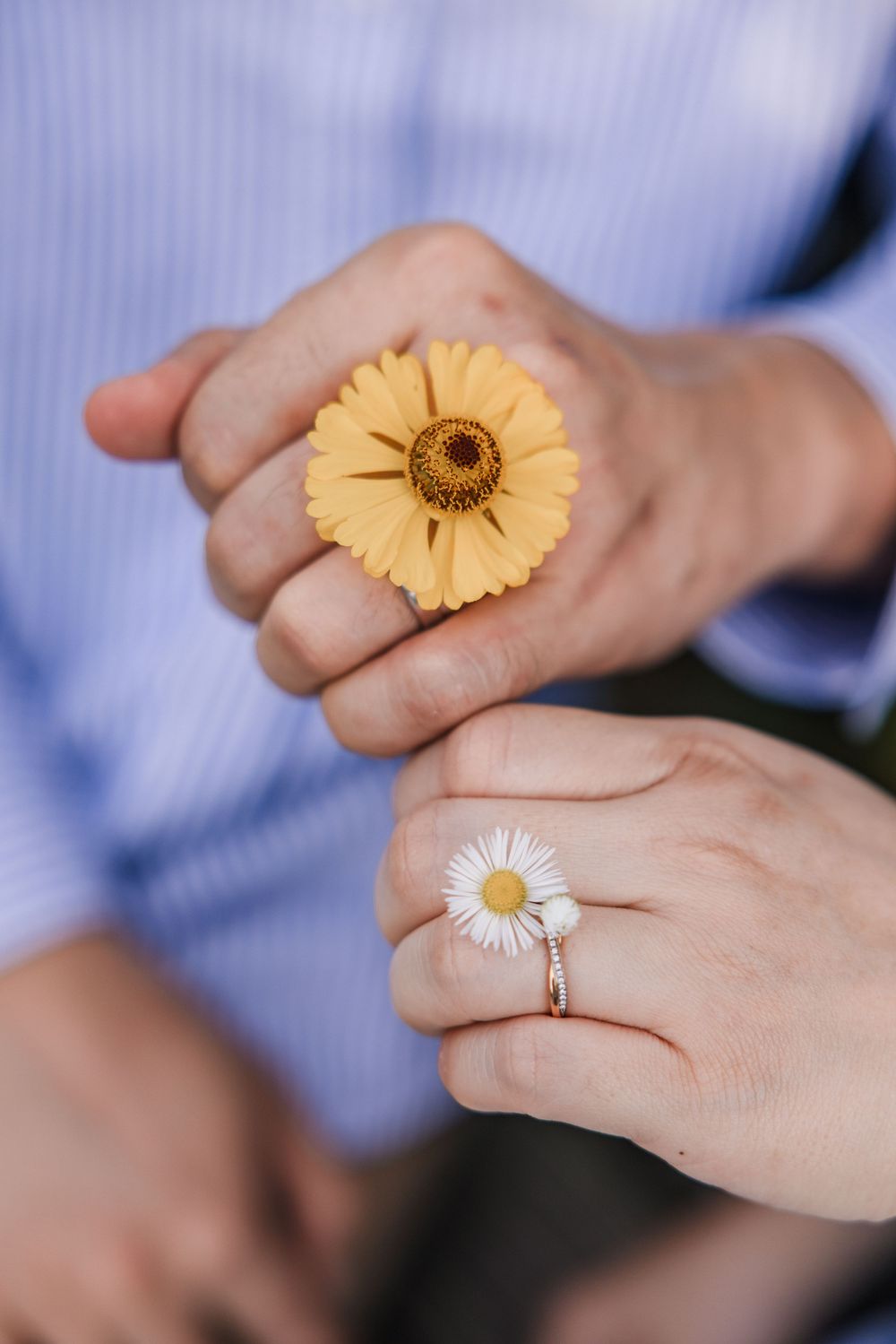 A series of hands wearing delicate flower rings featuring yellow gerbera daisies and white daisies against a blue background.