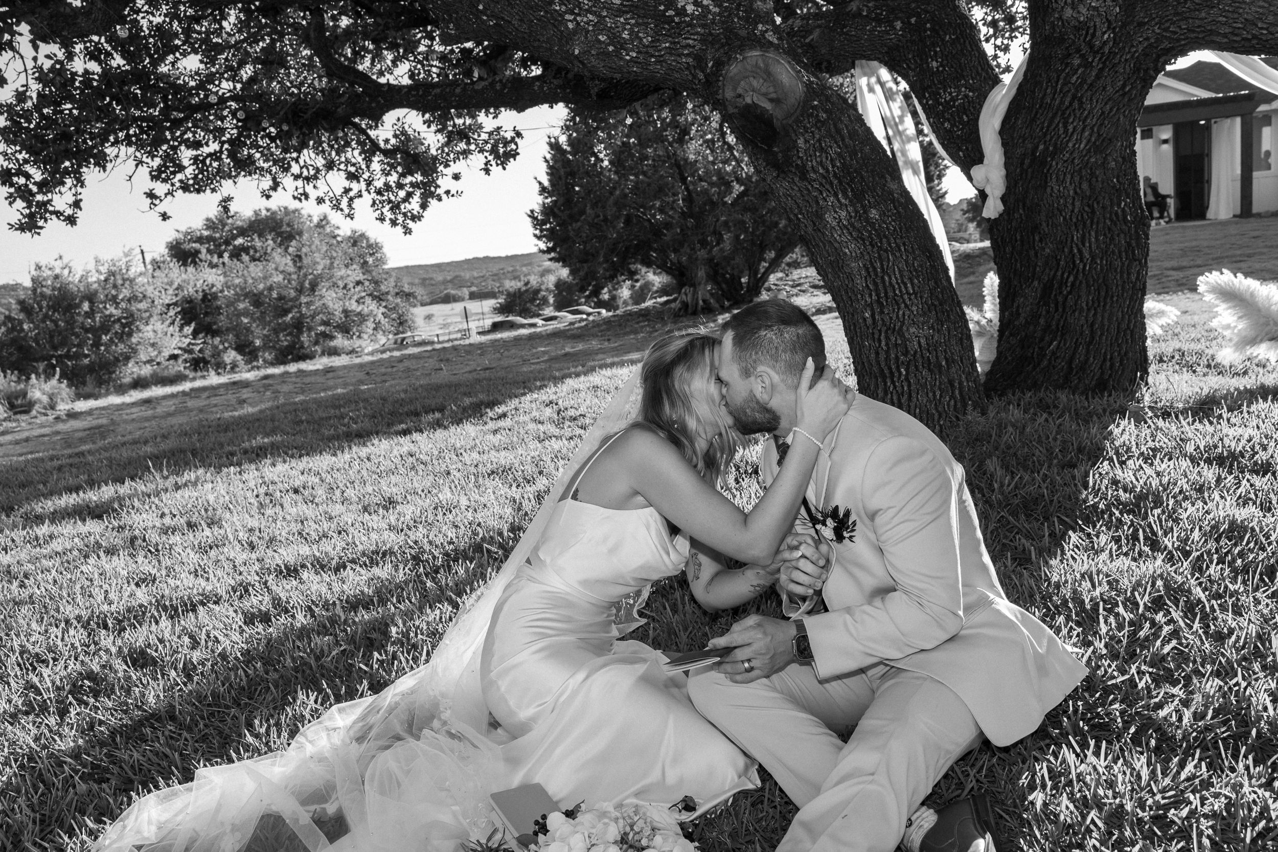 A romantic black and white moment captured under a large tree on a grassy hillside.