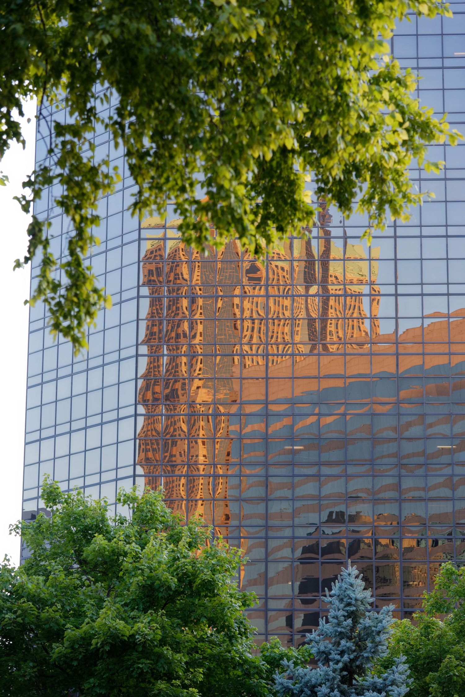 Reflective glass office building mirrors orange sunset glow on its facade with green tree branches framing the view.
