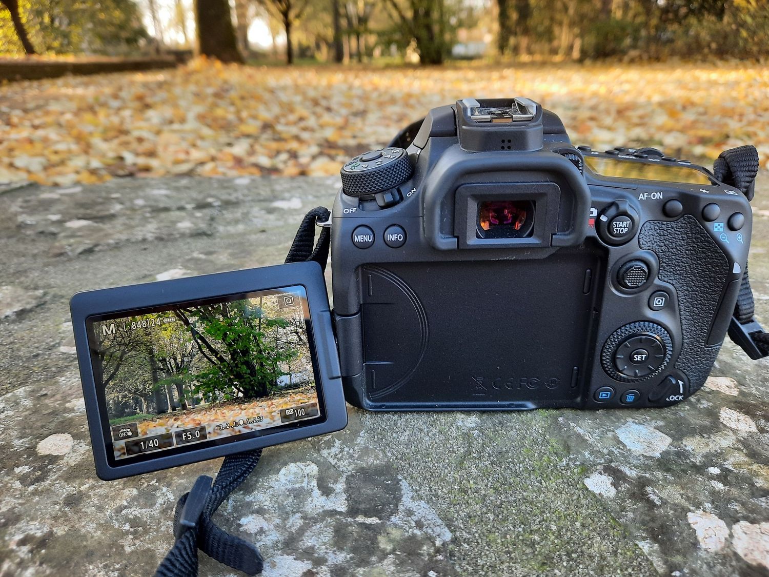 Hulysse Photographie, Niort, Deux-Sèvres, Photographe Professionnel, Portrait, Couple, Mariage, Activité à deux , photos, photos pro.