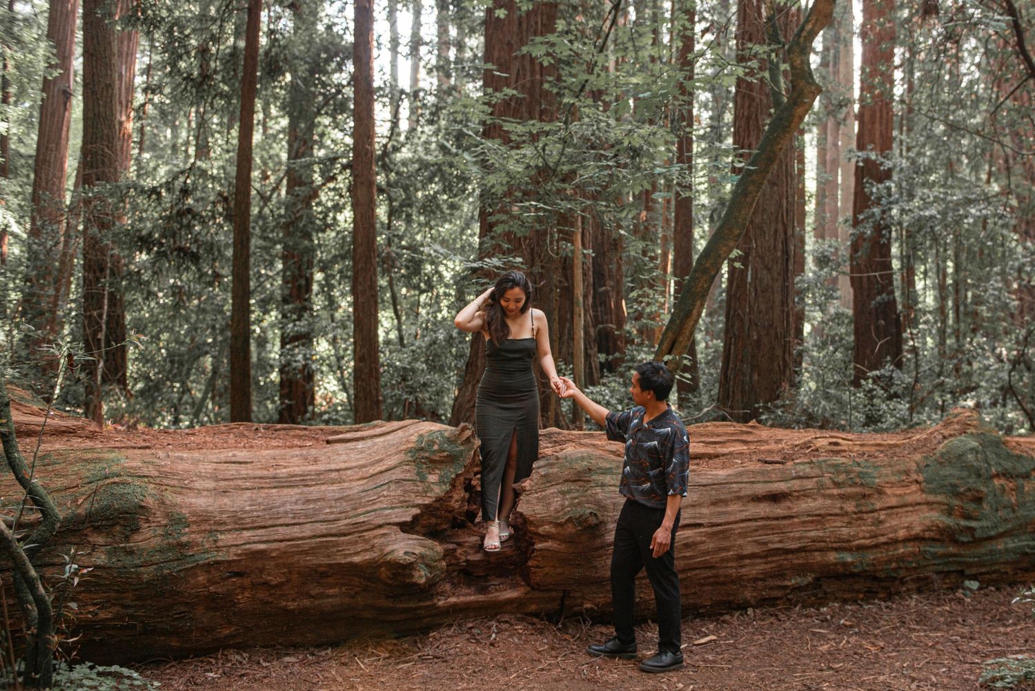 redwood forest engagement photos
redwood national park engagement photos
redwood grove engagement photos
reinhardt redwood regional park eng