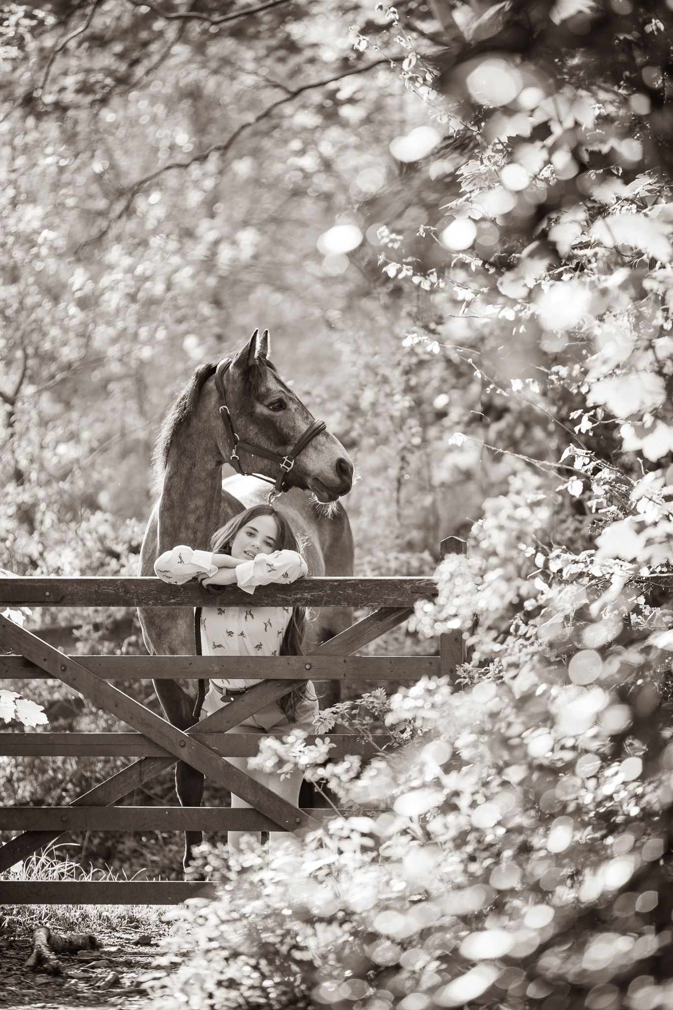 A dreamy black and white photo sequence showing a horse and rider peeking through wooden fence rails in a soft-focus setting.