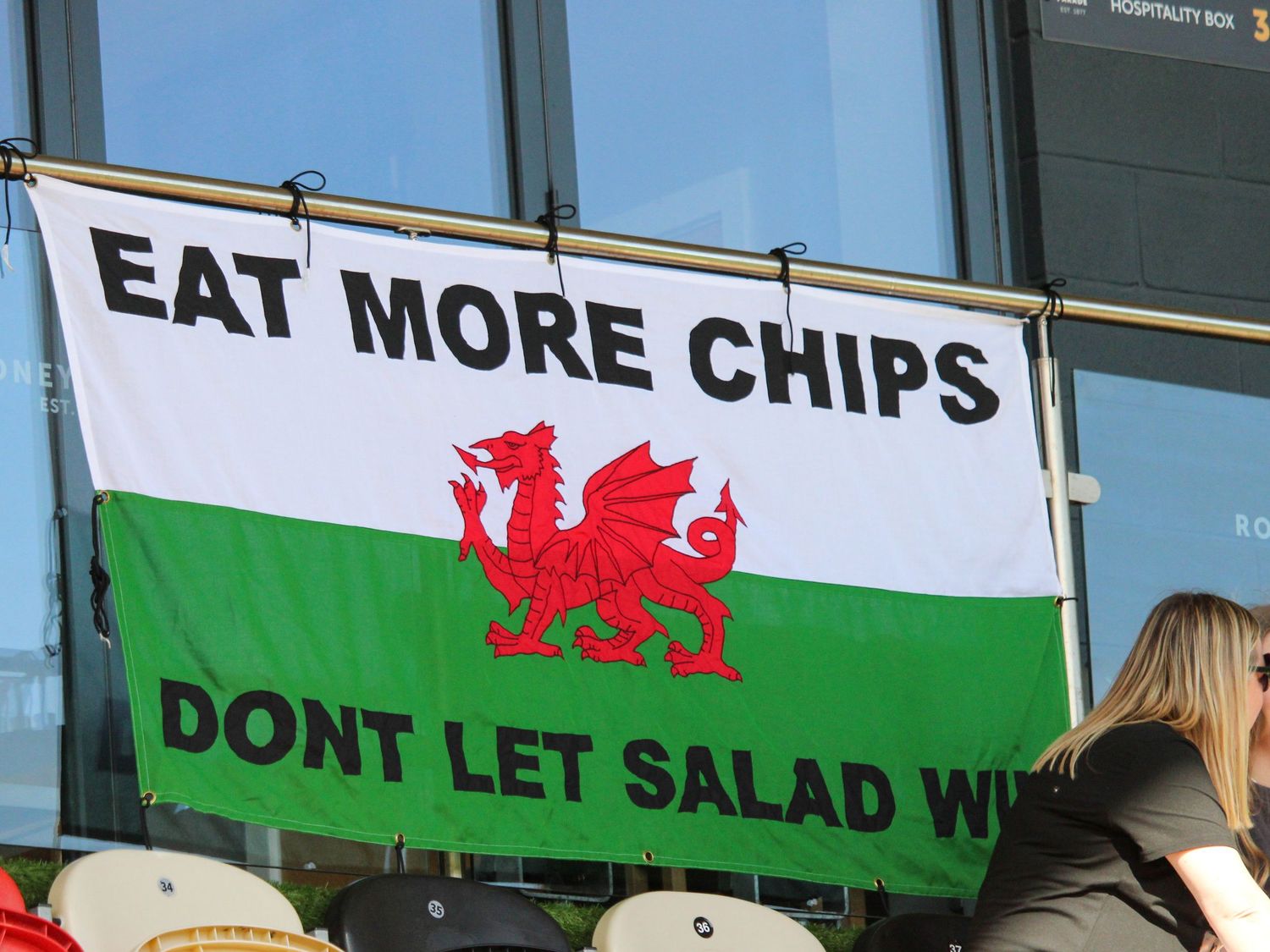 Welsh Flag