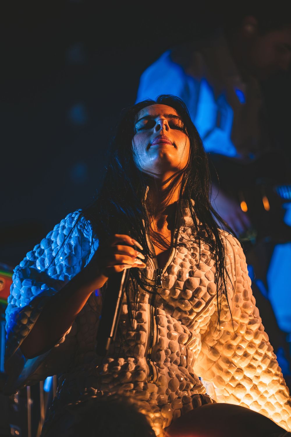 Concert Photographer