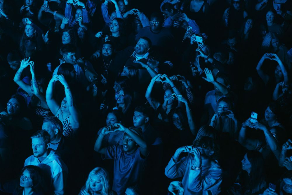 Concert Photographer