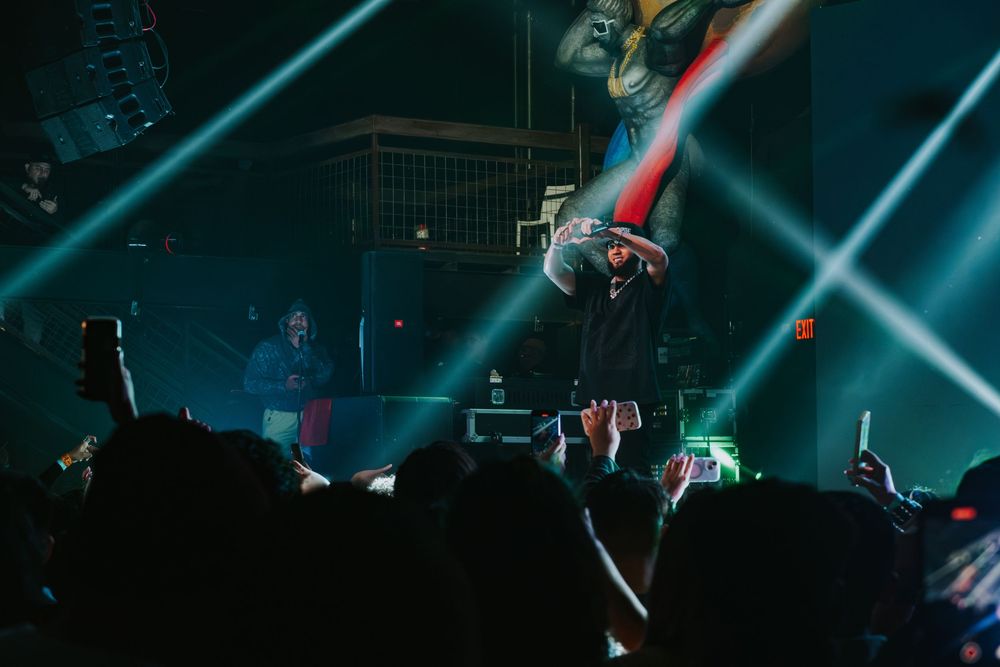 Concert Photographer