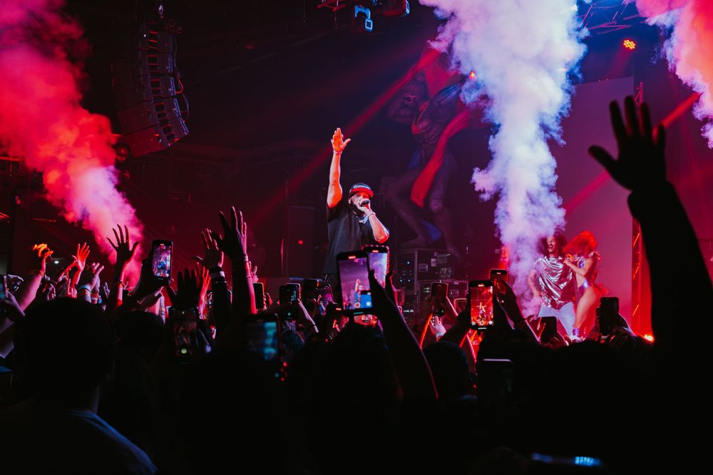 Concert Photographer