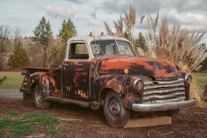 Row of abandoned rusty vintage cars parked in an overgrown field with bare trees in the background.