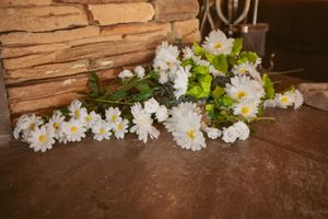 White daisies arranged naturally on a rustic wooden surface bring a fresh spring feel.