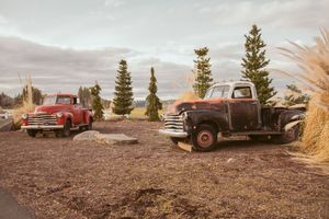 Vintage red pickup trucks parked against a sunset mountain landscape.