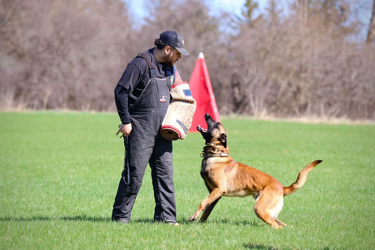Dog and owner portrait