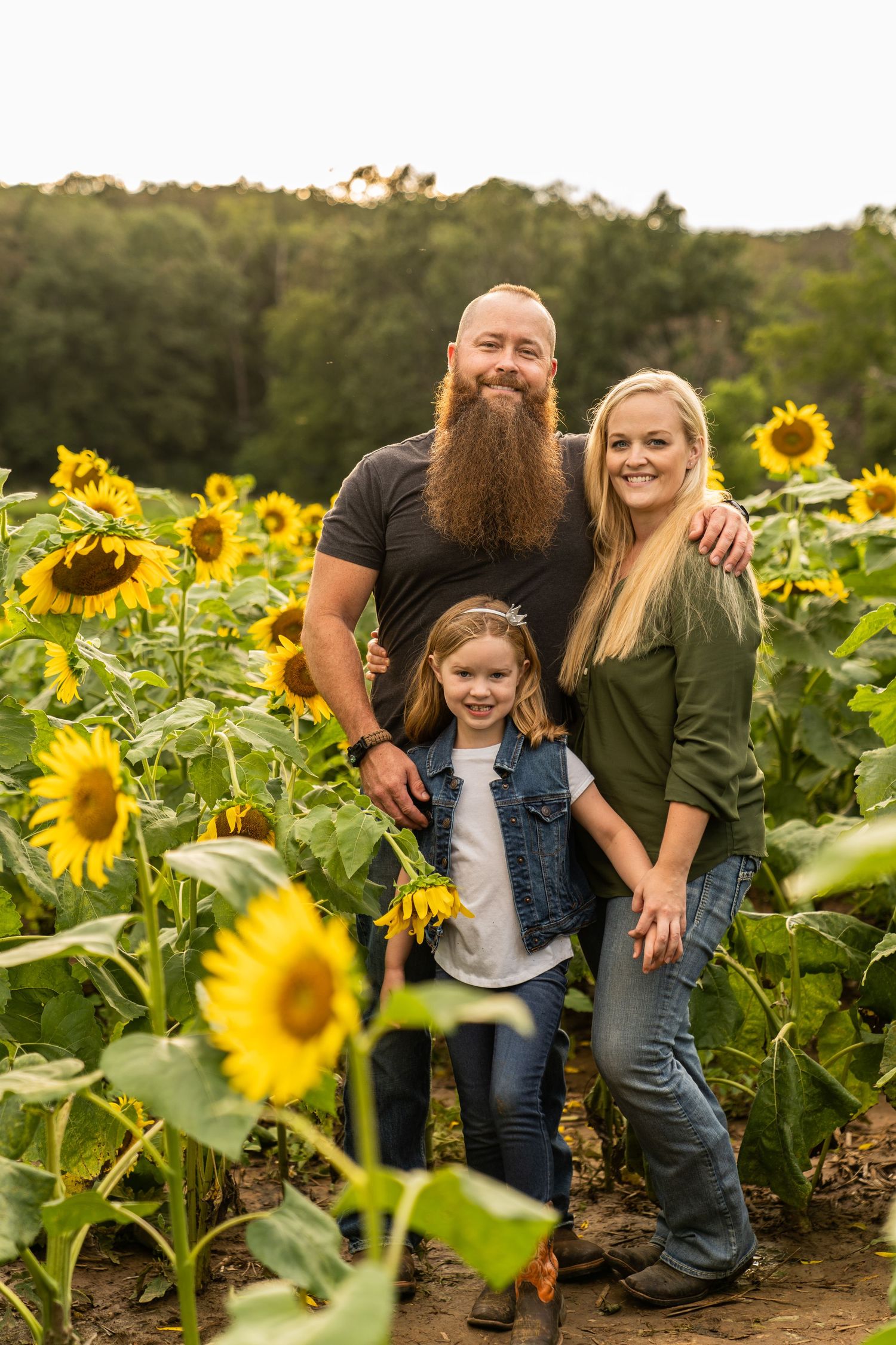 Family portrait of mom, dad and daughter holding hands in a sunflower field.