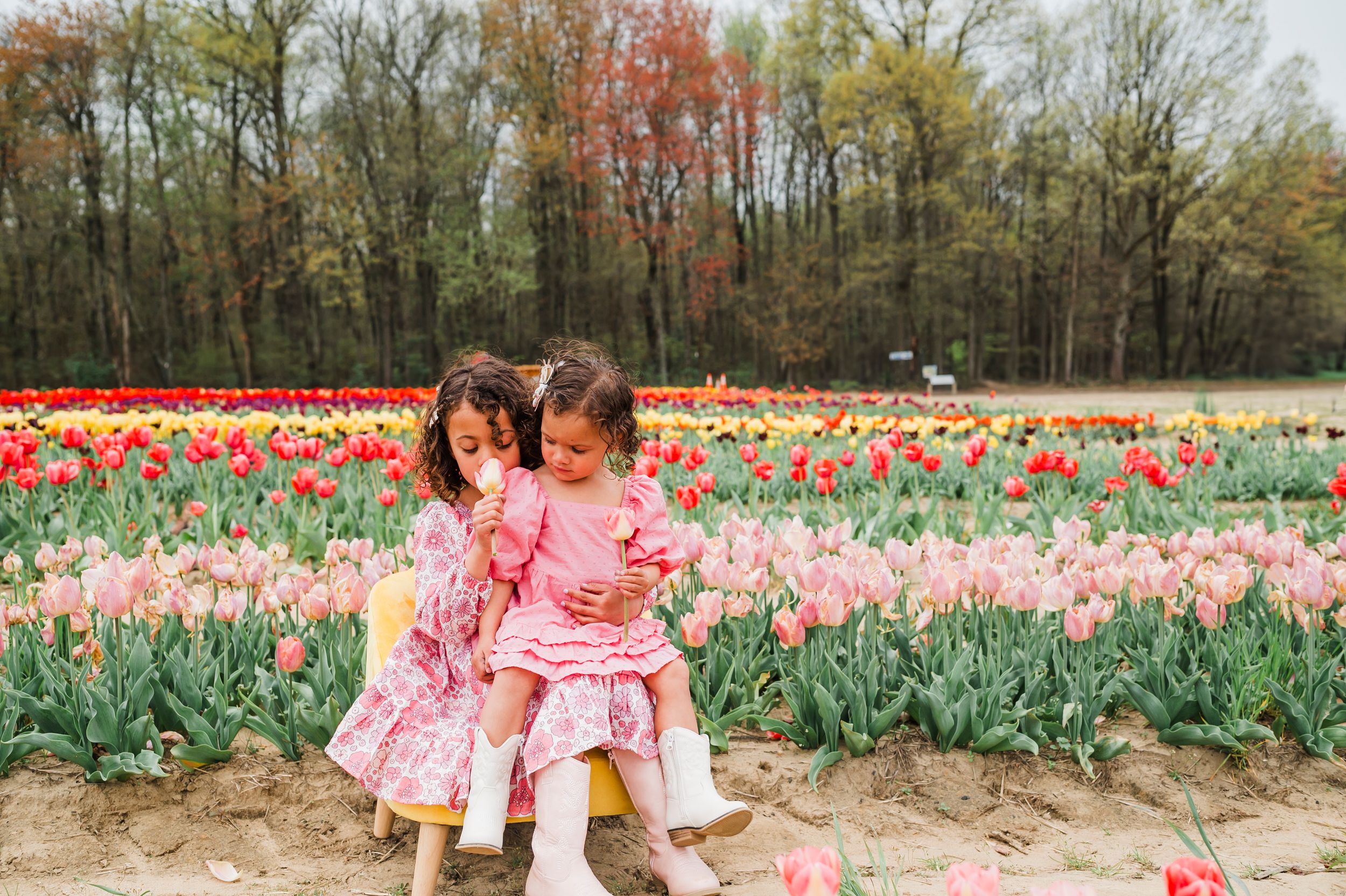 Two people in pink dresses sit together in a vibrant tulip garden during spring with colorful flowers blooming.