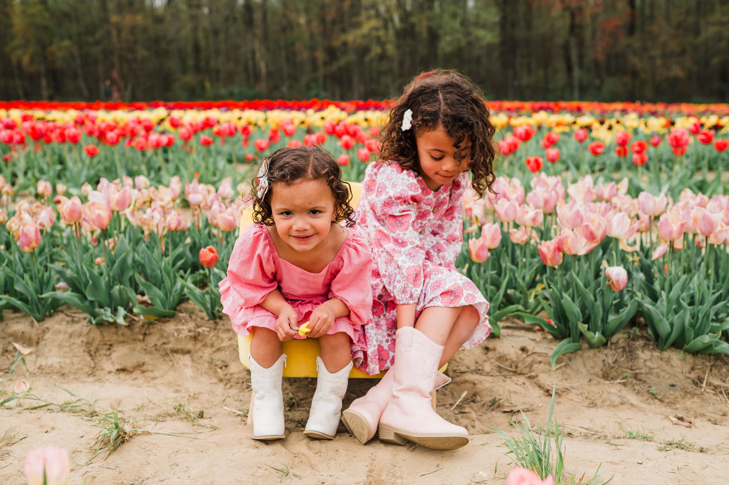 A collection of colorful tulip fields with children exploring and enjoying the spring blooms in a garden setting.