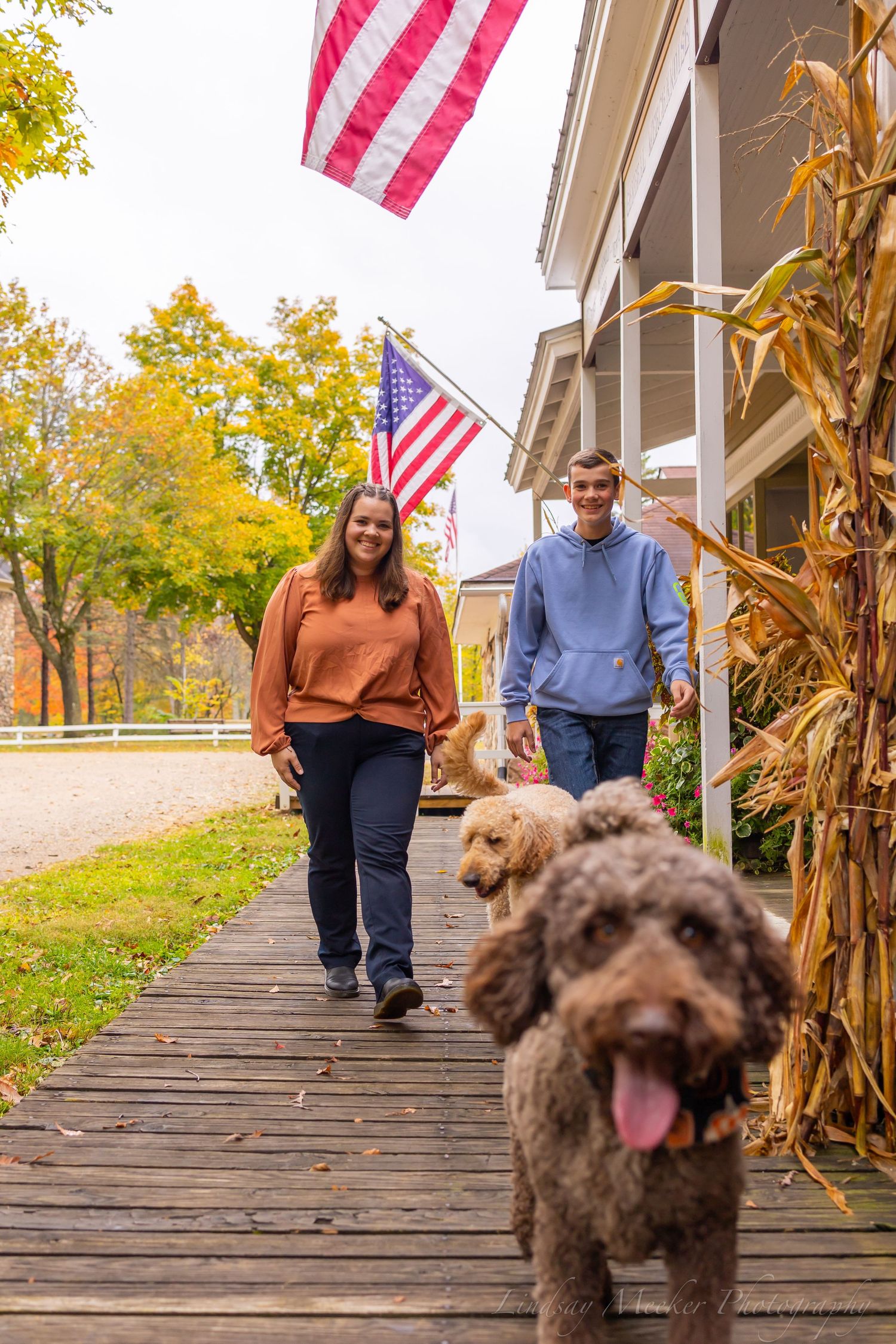 A happy brown curly-haired dog sits on wooden porch steps decorated with American flags and autumn cornstalks.