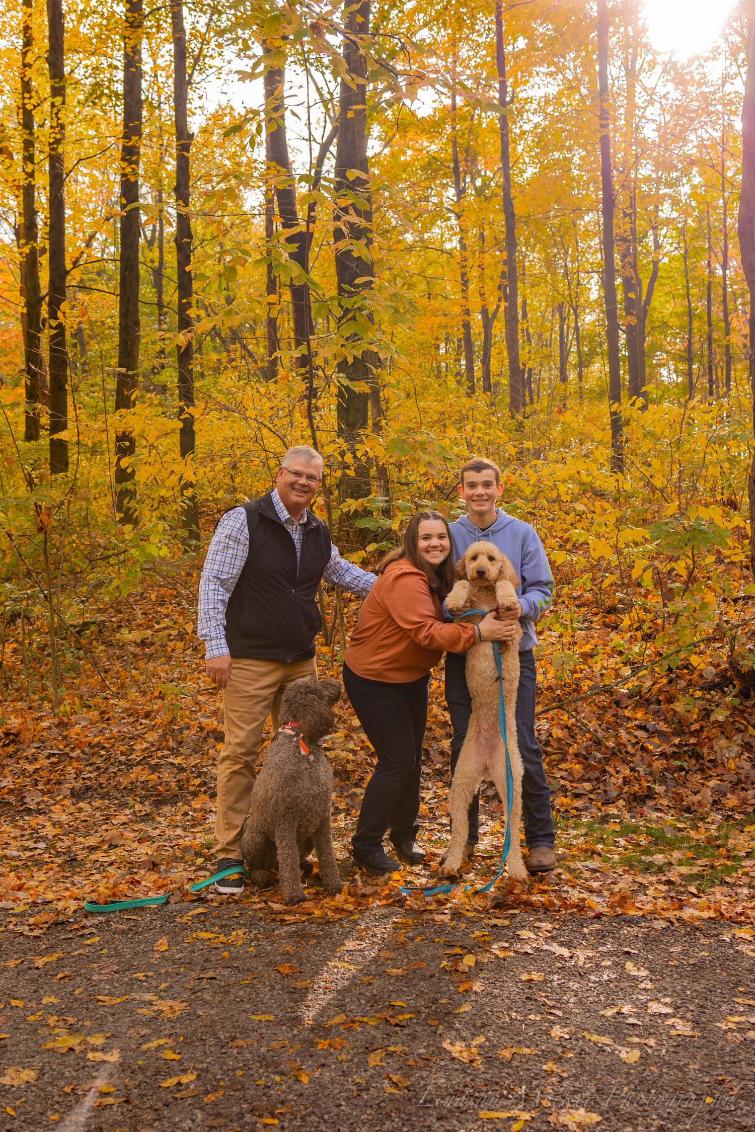 A group stands together with their dogs on an autumn path surrounded by golden yellow foliage in a sunlit forest.