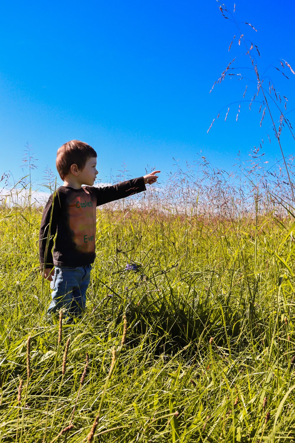 A small figure in a brown jacket points across a tall grass field against a bright blue summer sky.
