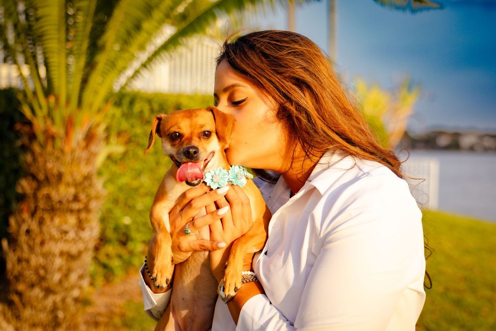 A couple plays with their small brown dog in a sunny outdoor setting.