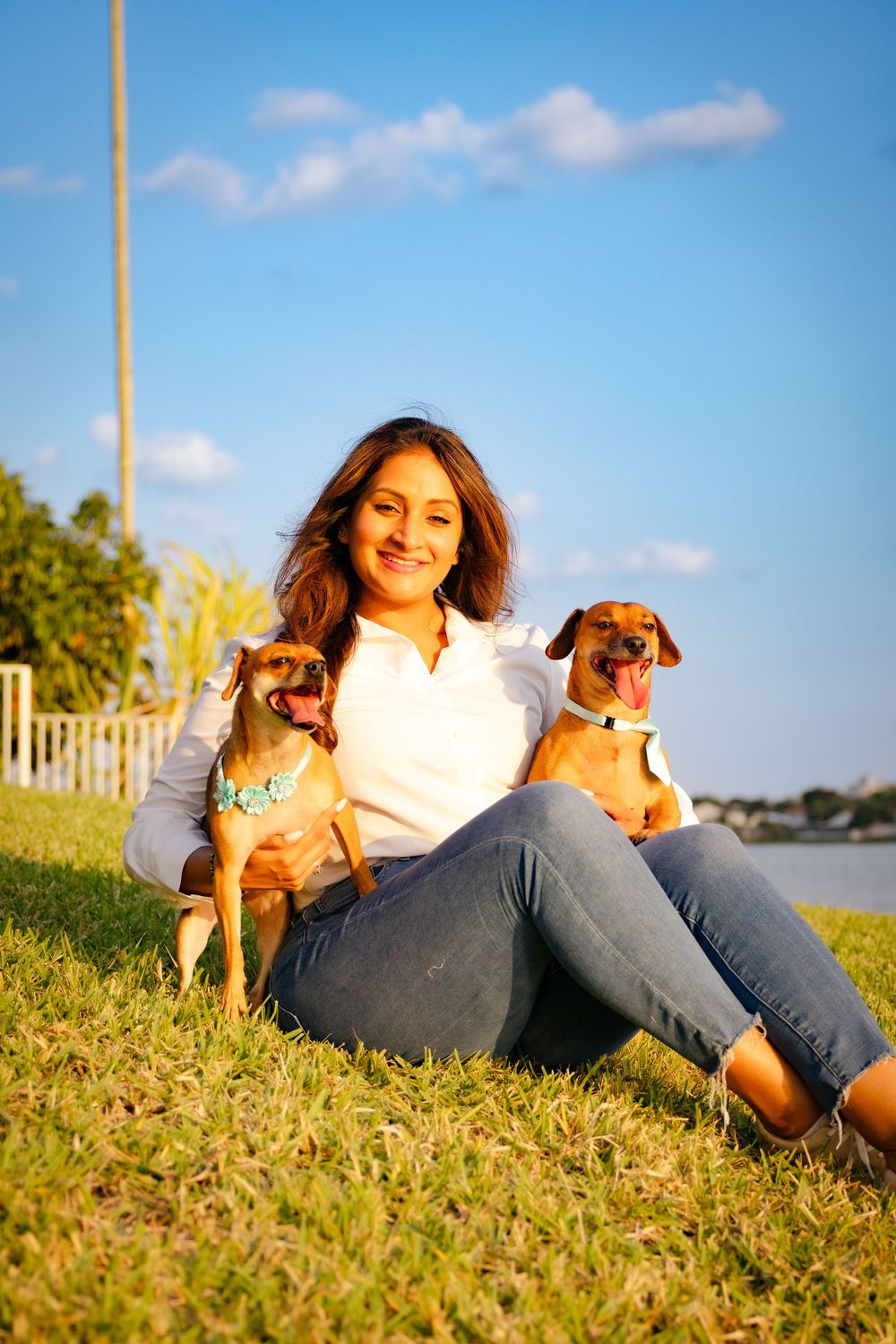 A person relaxes on grass with a small brown dog during a sunny afternoon by the water.