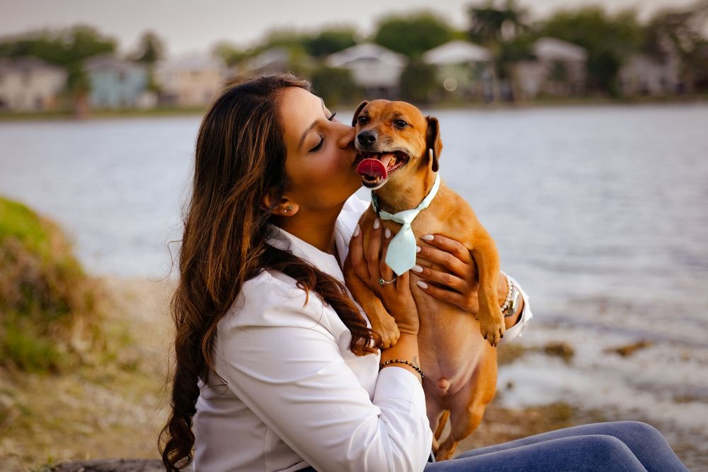A brown dog and companion share affectionate moments by the waterfront during a sunny day.