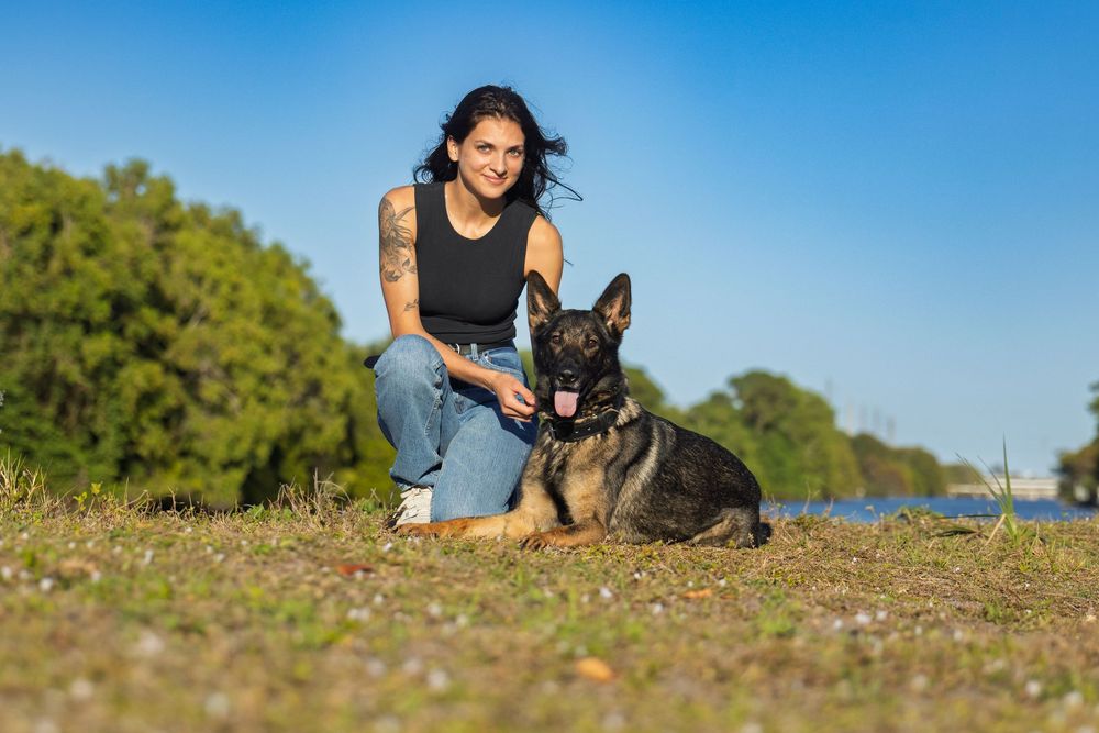 A German Shepherd dog enjoys outdoor time by the waterfront on a sunny day.