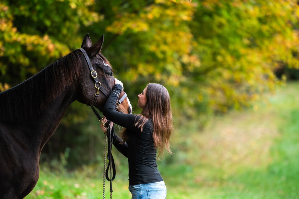 Woman in black shirt pets a dark brown horse standing against autumn foliage in an outdoor setting.