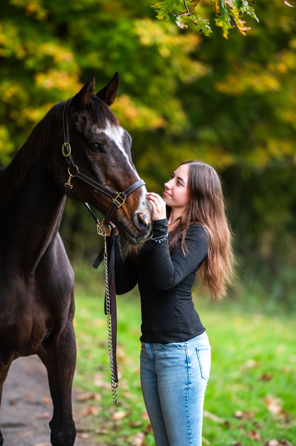 A beautiful dark horse with a white blaze receives affection in a serene forest setting during fall.