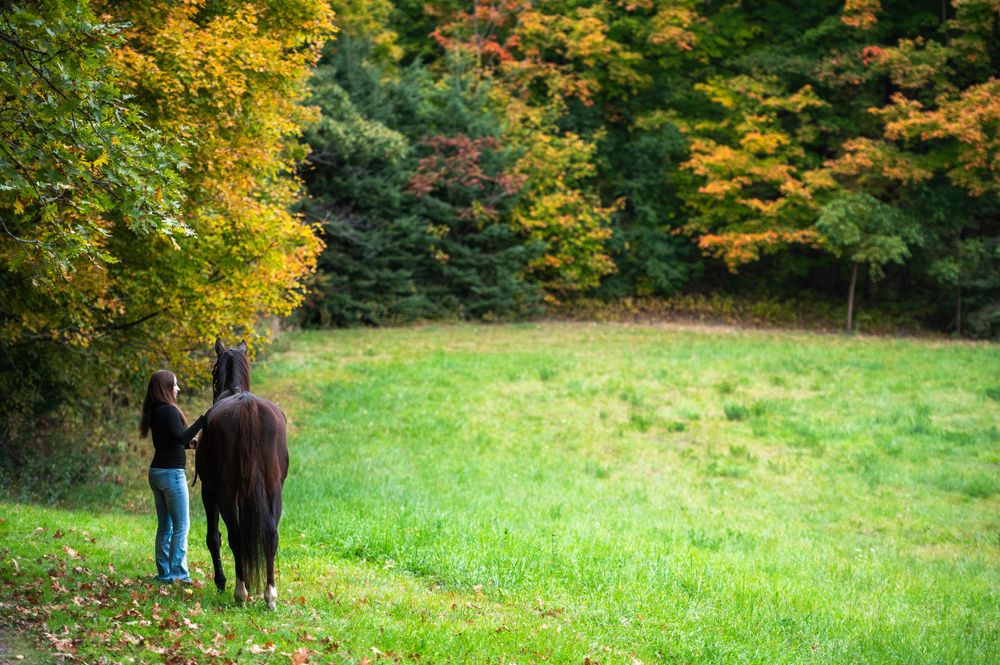 A person stands with a horse in a lush meadow surrounded by autumn trees with golden foliage.