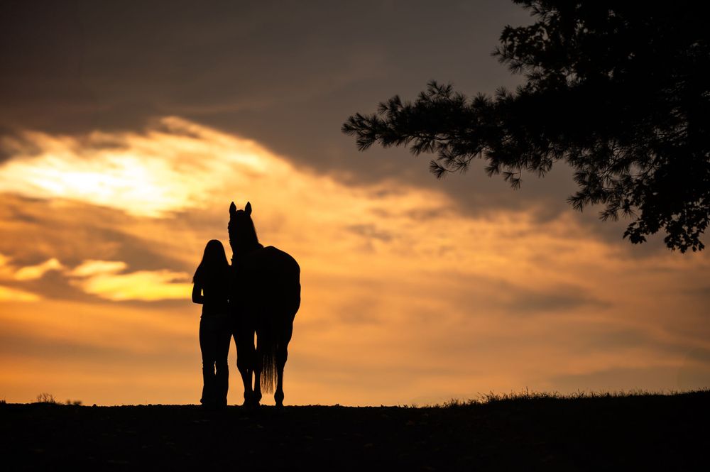 Silhouette of a person standing with a horse against a dramatic orange sunset sky.