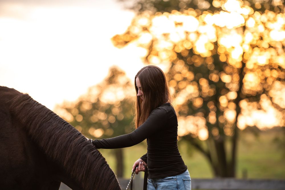 A woman in casual attire stands beside a horse in a golden sunset with silhouetted trees in the background.