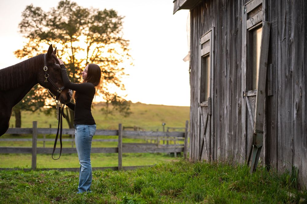 A silhouetted figure tends to a horse beside a rustic wooden barn at sunset in a pastoral countryside setting.