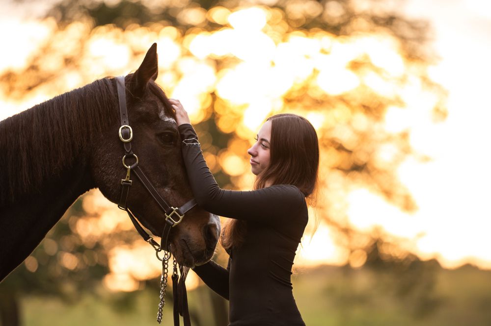 A silhouetted person stands affectionately with their black horse during golden sunset with bokeh background.