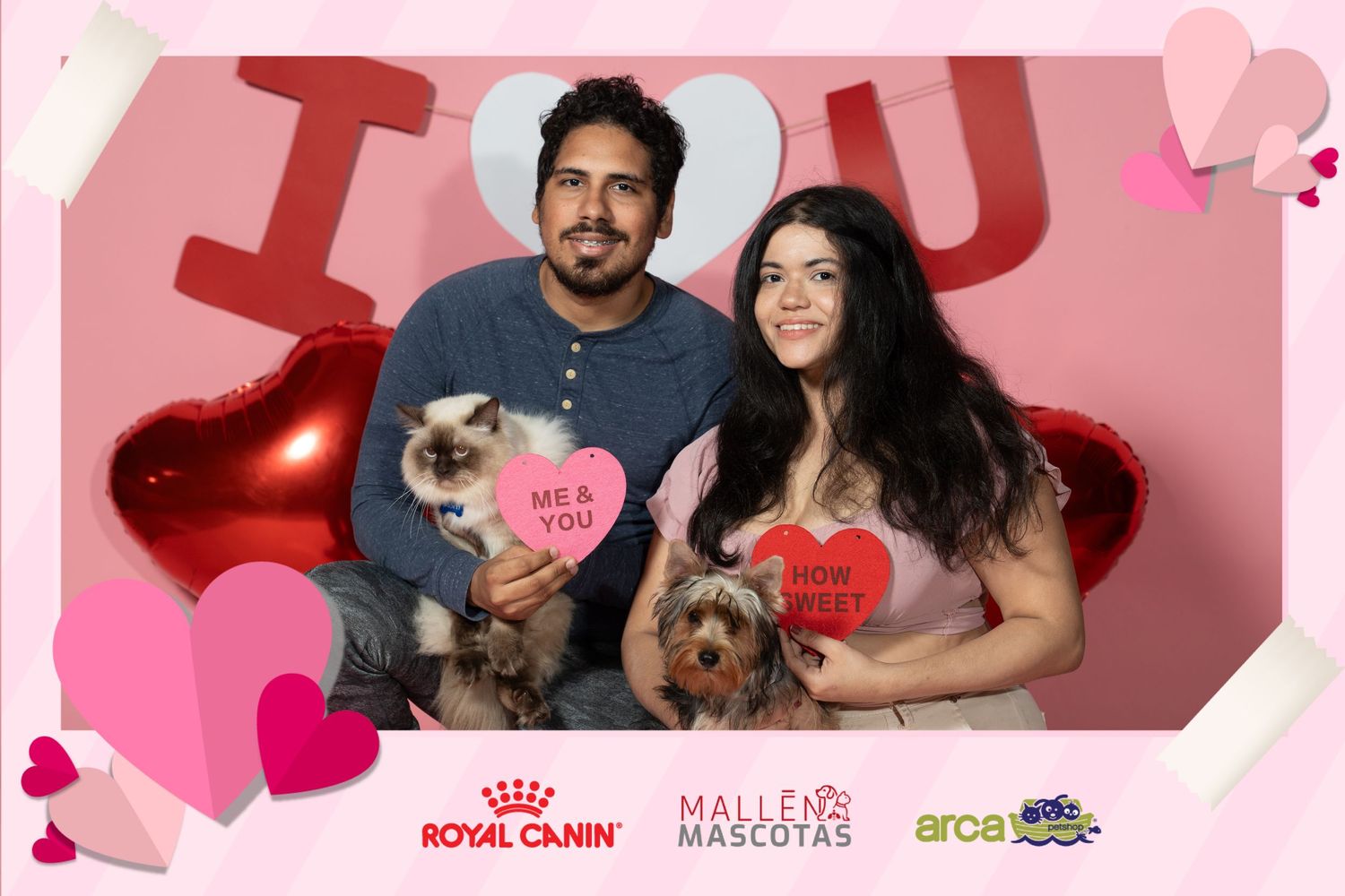 A collage of pet-themed Valentine's Day photos showing cats and dogs with heart decorations in pink backgrounds.