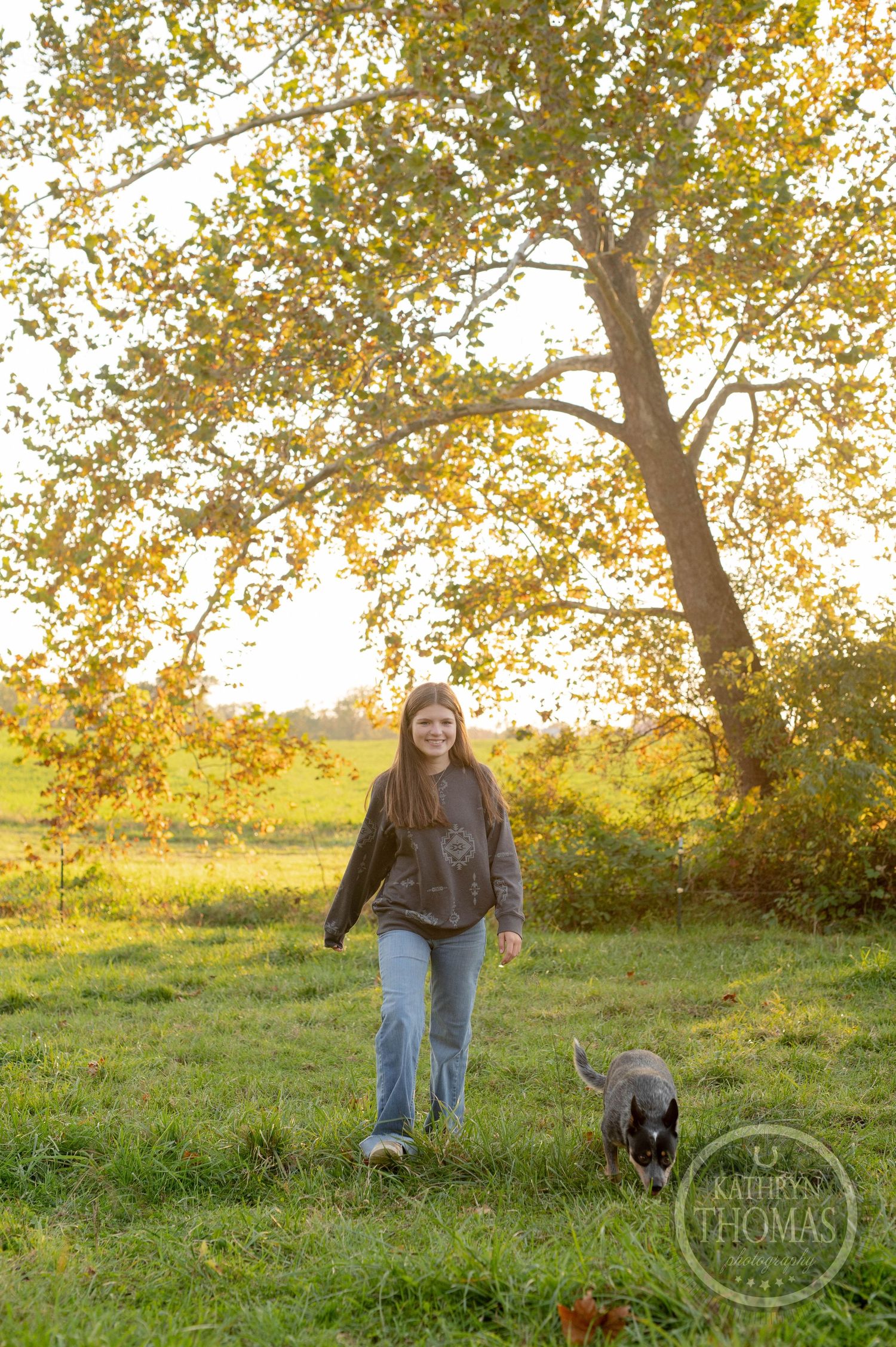 Someone walks with their German Shepherd dog through a golden-lit field with fall foliage.
