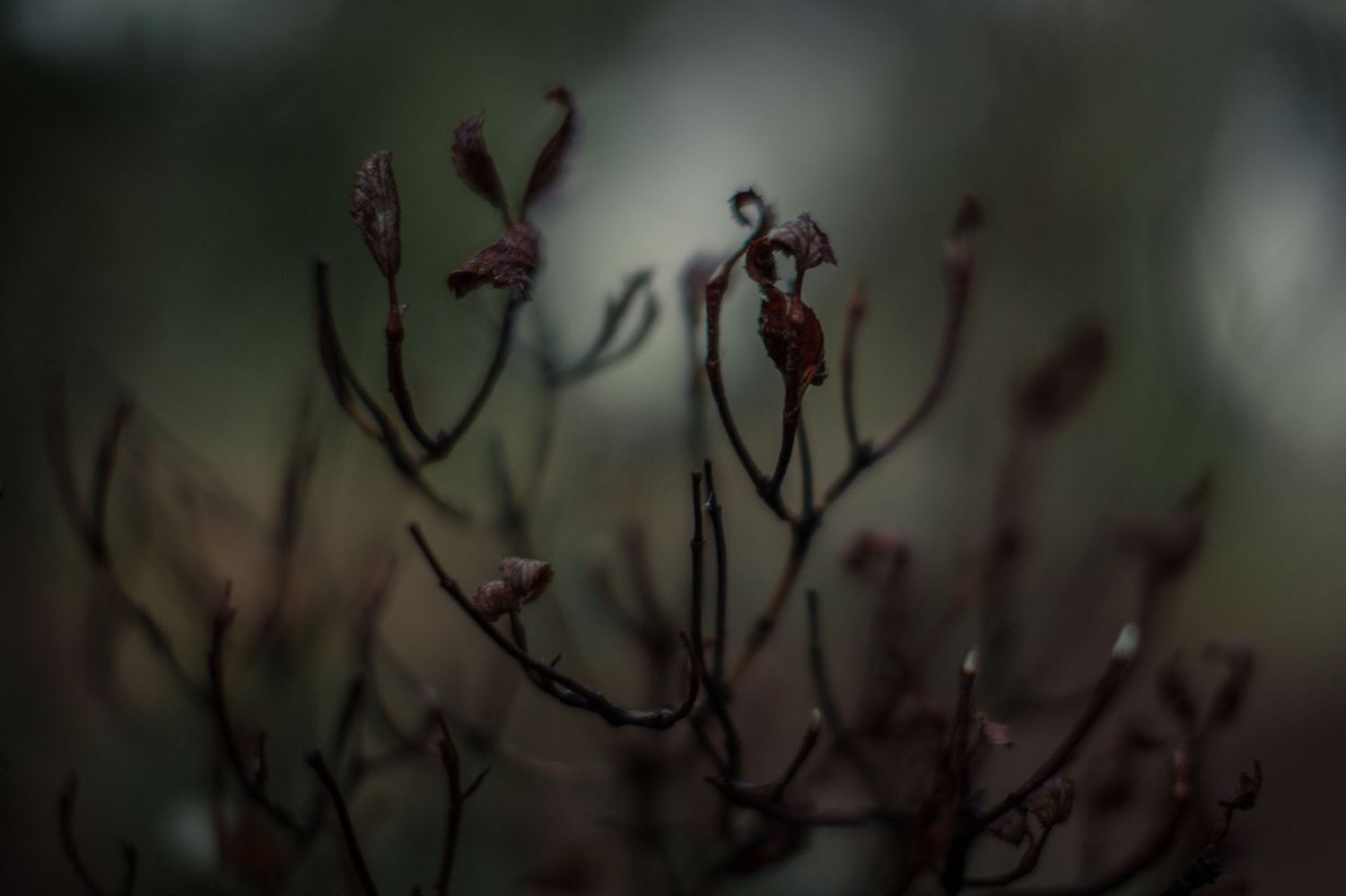 by Ash Moon